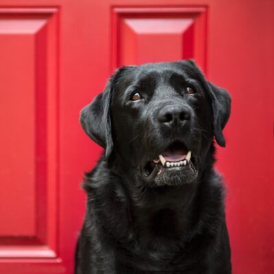Baxter Wetlab