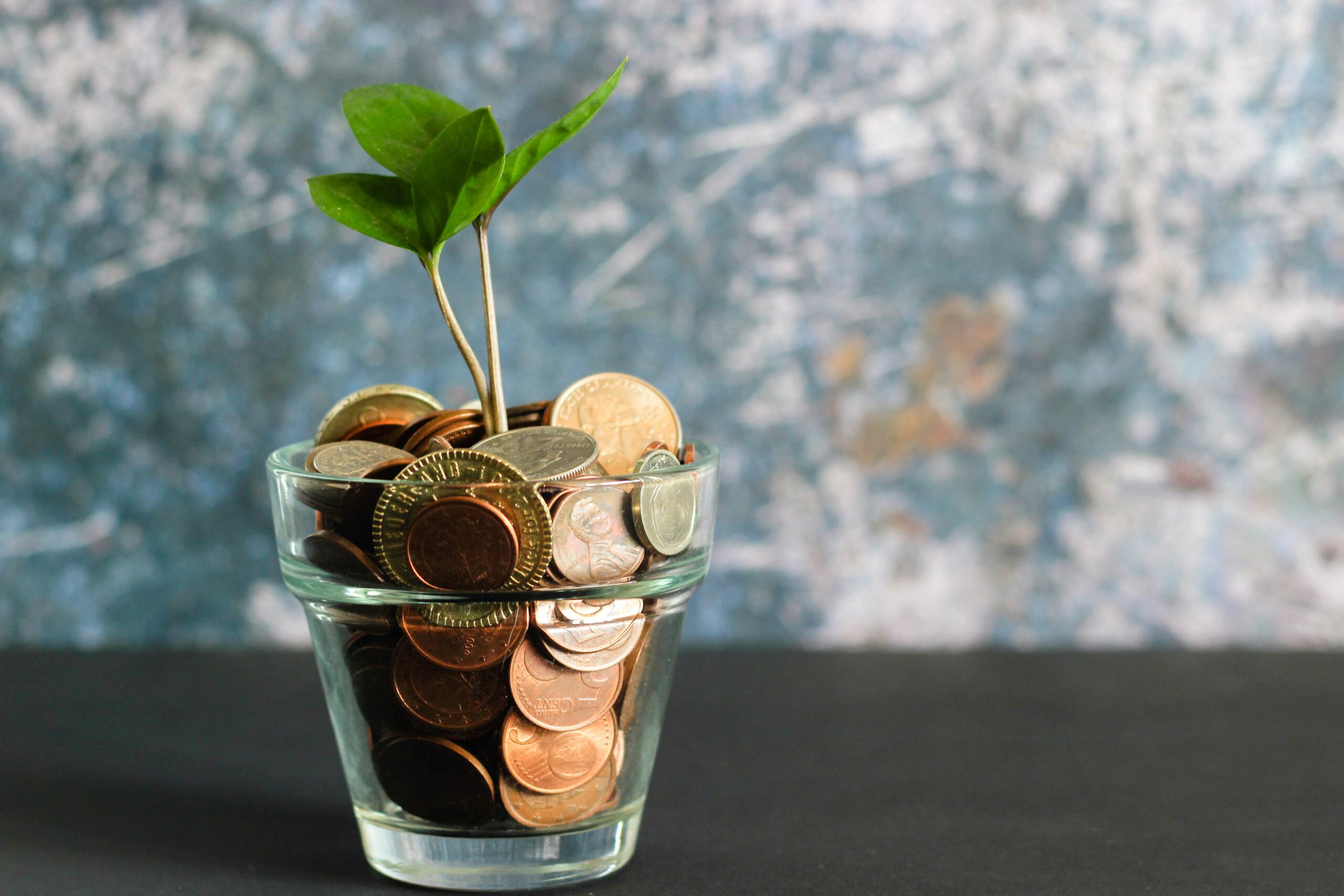 compensation analysis glass pot filled with coins and seedlings